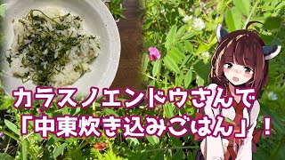 【都心に生えてる野草】カラスノエンドウさんで「中東炊き込みごはん」！