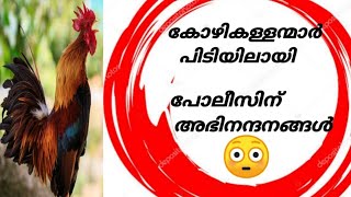 പട്ടാപ്പകൽ കോഴി മോഷണം||ഈ പിള്ളേരെകൊണ്ട് തോറ്റു