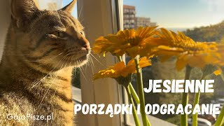 🎃Jesienne odgracanie i porządki 🧹🍁🍂