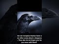 interesting scientific information about the crow