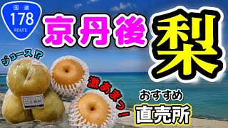 【京都府京丹後市】梨の直売所めぐり｜梨農家｜梨農園｜梨園｜国道178号線｜梨直売所ロード｜京都ブランド梨｜京たんご梨｜京丹後梨｜梨｜旬の果物｜激あま＆まるでジュースのような瑞々しい梨が京丹後にあった！