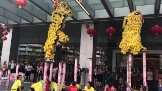 Yick Nam Lion Dance 2017