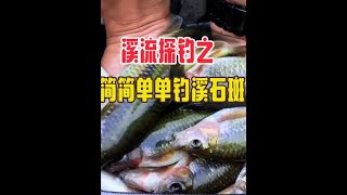 你敢相信吗，一个溪石斑泛滥本地人拿来喂鸭子的地方，竟然有钓友…..#溪流钓 #溪石斑 #一斤重的溪石斑#溪流石斑 #原来钓鱼才是抖音运动顶流