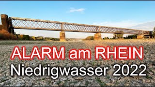 Dürre 2022: Extrem-Niedrigwasser im Rhein!  Neuwied-Engers + Niederwerth + Hammerstein