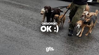 okgiorgio - ok :)