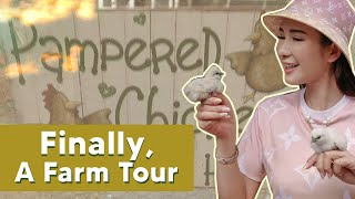 WELCOME TO MY HAPPY FARM! (JAMIE'S SECRET GARDEN + SILKIE CHICKENS) | JAMIE CHUA