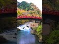 Top 5 Most Beautiful Autumn Destinations in Japan!