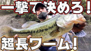 アフター回復系デカバスはロングワームで釣れる！【佐賀バス釣り】