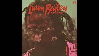 Liam Bailey - Sekkle Down