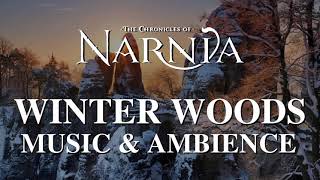 Relaxing Music with Sounds of Winter - Chronicles of Narnia | Winter Woods Music & Ambience