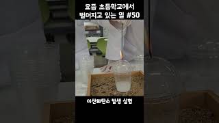 요즘 초등학교에서 벌어지는 일 #50