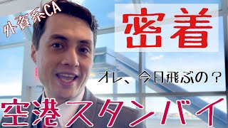 【外資系CA】客室乗務員の空港スタンバイ１日密着！