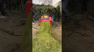 Mini Paddy Thresher Manufacturer Grain For Sorghum Rice,