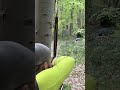 90lbs turkish saluki horn bow in the wild archery