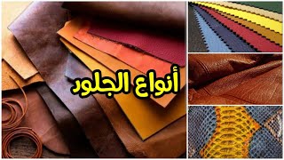 🔴  معلومات عن أنواع الجلود  | leather types