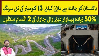 New Tunnel will connect Pakistan \u0026 China through 120 Km short route | Rich Pakistan