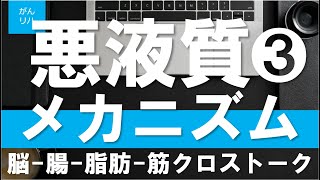 【がんリハ52話】悪液質のメカニズム３　脳ー腸のクロストークとは？