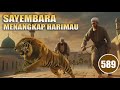 ABU NAWAS DAN SAYEMBARA MENANGKAP HARIMAU - HUMOR SUFI