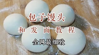 總和不好發面，面點師手把手教你發面技術，發酵快又好，一看就懂 #美食 #做飯 #中餐 #家常菜 #菜譜