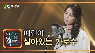 예인아 - 살아있는 가로수 [아이넷TV 음색]