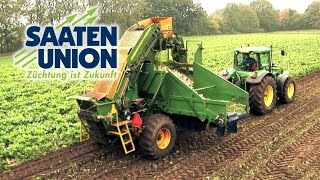 Saaten-Union: The comeback of the beet (English)