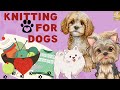 knitting for dogs 🐶 🐕🐕‍🦺- kids read aloud books- musical audio video read bedtime story for children