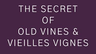 The Secret of Old Vine and Vieilles Vignes Wines