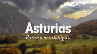 Asturias paraíso ornitológico 2025