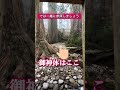 ⚠️神回※もし逃したら2度とないです！見るだけで開運する不思議な動画【玉置神社】 遠隔参拝　 奈良県 パワースポット