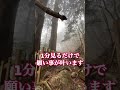 ⚠️神回※もし逃したら2度とないです！見るだけで開運する不思議な動画【玉置神社】 遠隔参拝　 奈良県 パワースポット