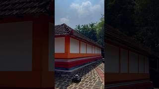 വൃശ്ചിക മാസത്തിലെ ഒരു പുലരിയിൽ ✨✨#shortsvideo #shorts #short #travel #kasaragod