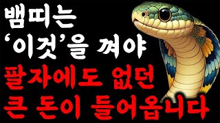 뱀띠 주목! 2025년 을사년 뱀띠 운명이 바뀝니다 뱀띠를 위한 충격적인 운세 2025년 대박나는 뱀띠운세 41년생 53년생 65년생 77년생 89년생 01년생 뱀띠 운세 신년운세