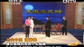 天涯共此时20130611 功夫中国 通背拳HD高清完整版