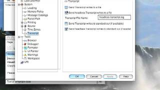 VisualWorks Settings