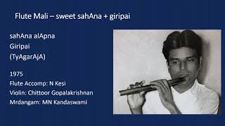 Flute Mali - a sweet shAna plus giripai (TyAgarAja kriti)