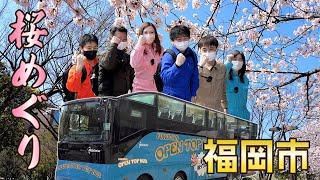 【九州をツナギ隊】福岡オープントップバスで桜めぐり！アクロス山で卒業発表も！？