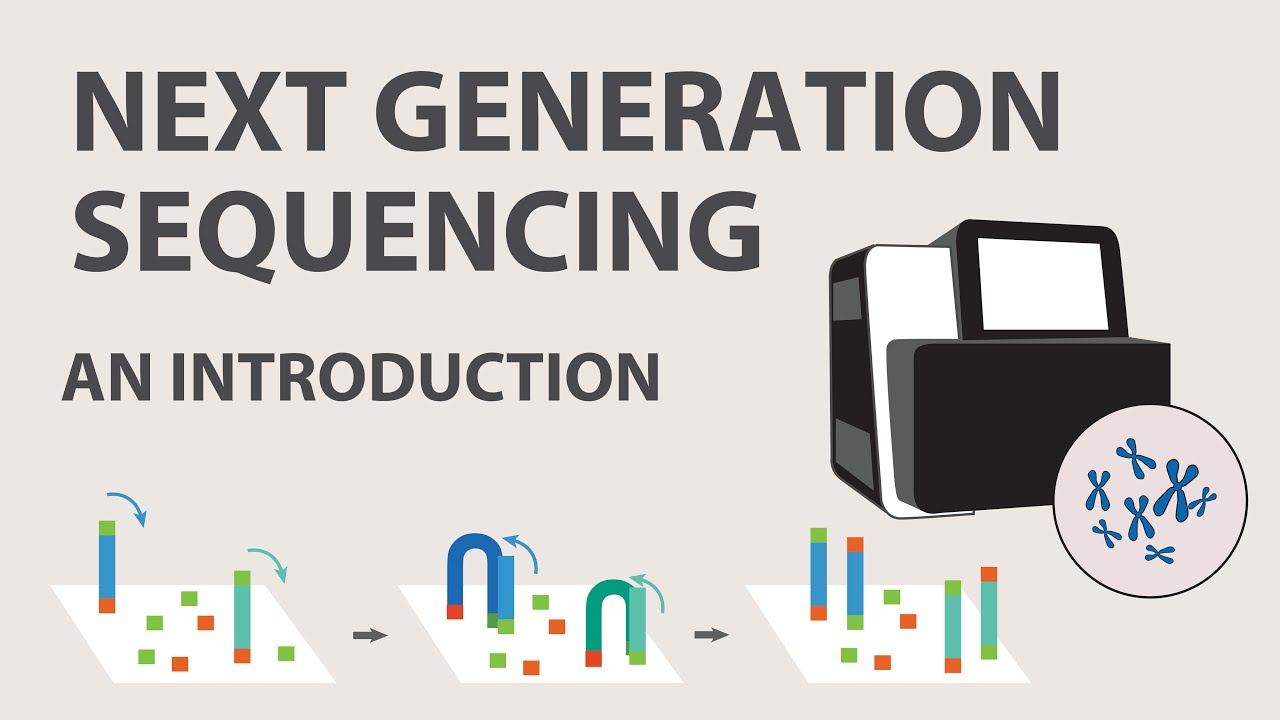 1) Next Generation Sequencing (NGS) - An Introduction - YouTube