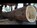 Sawmill processing of very hard acacia wood.