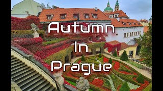 【4K】Autumn In Prague