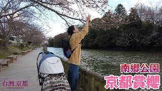 【京都賞櫻】2019 京都・櫻花季系列 南郷公園 「亀山城」護城河外圍