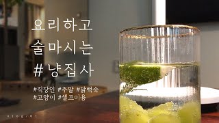 첫 VLOG! 저는 요술냥✨입니다 / 고양이 셀프미용 / 닭백숙만들기