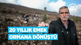 Emekli olsa da toprakla bağını koparamıyor | Çorak araziye diktiği fidanlar ormana dönüştü