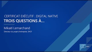 Certificat exécutif : digital native, 3 questions à...