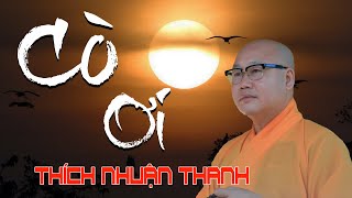 CÒ ƠI - bài thơ của BÀ CỤ 93 tuổi gây chấn động cộng đồng mạng || THÍCH NHUẬN THANH