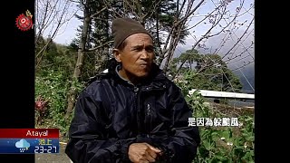 卡維蘭部落居高臨下 如同仙境國度 2020-08-10 Atayal IPCF-TITV 原文會原視族語新聞