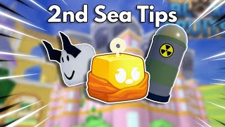 6 *MUST KNOW* Tips in the 2nd sea