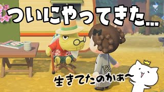 【あつ森】ついにコトブキさんがやってきた...！感動の...再会？島の変化を楽しむ～！【あつまれどうぶつの森】【実況/大型アップデート/くるみ】