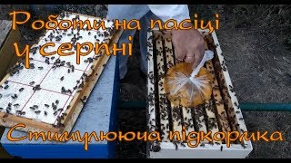 Пасіка у серпні. Даємо стимулюючу підкормку.