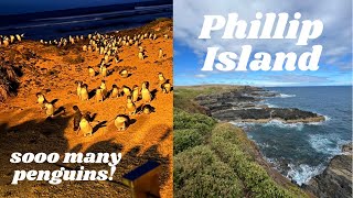 Phillip Island, Australia | Day trip vlog \u0026 penguin parade!