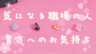 【リクエスト】気になる職場の人は、あなたの事をどう思っていますか🌸タロット占い🔮✨4択